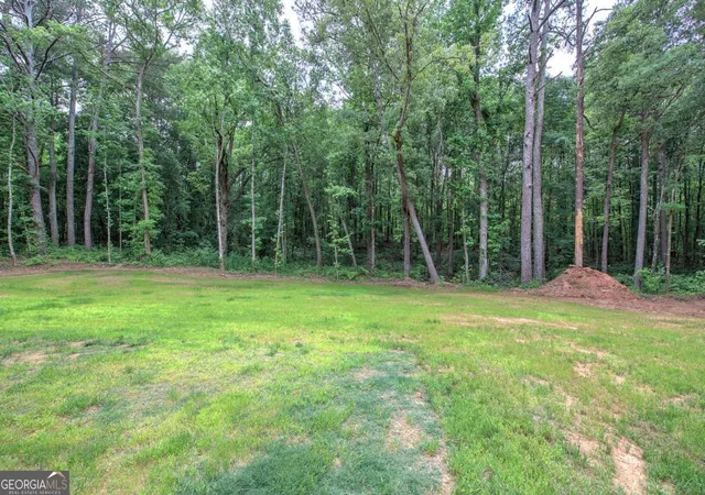 51st image of 4142 Lovvorn Rd, Carrollton, GA 30117 | MLS# 10769350