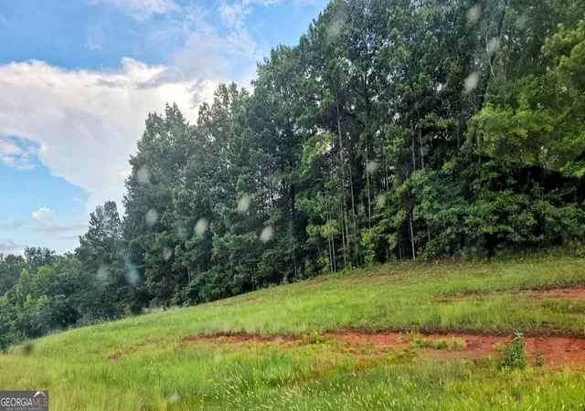 2nd image of 19 Hwy, Thomaston, GA 30286 | MLS# 10806410