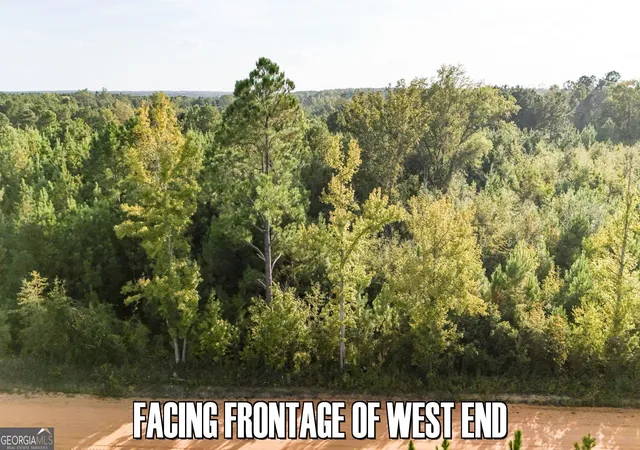 4th image of 2340 Joyner Oglesby Rd(Lot 1), Sardis, GA 30456 | MLS# 10806392