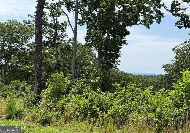 Photo 1 of Land for sale at Lot 93 Timberline Trl #93, Talking Rock, GA 30175 | MLS# 10830275 | Listing updated on 2026-09-04