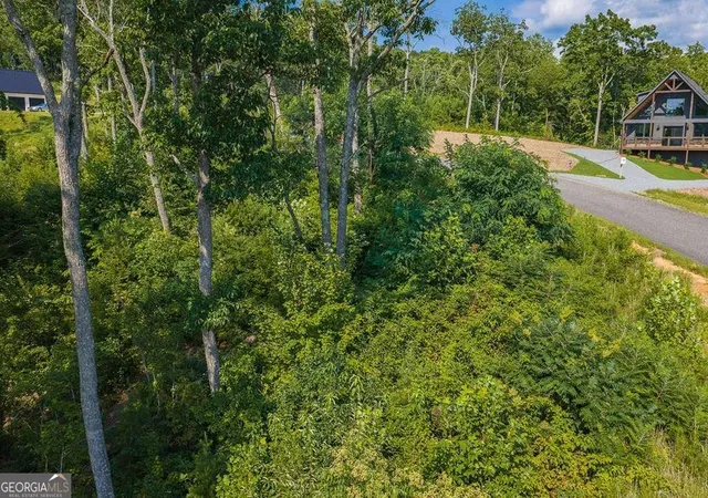 Photo 2 of Land for sale at Lot 93 Timberline Trl #93, Talking Rock, GA 30175 | MLS# 10830275 | Listing updated on 2026-09-04