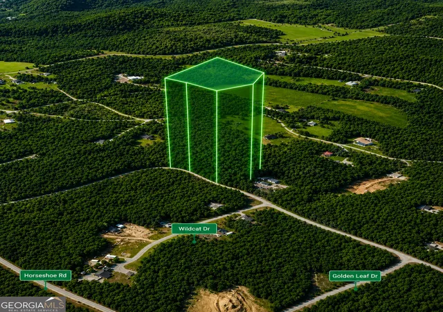 4th image of 00 Pine Woods Dr, Blairsville, GA 30512 | MLS# 10799523