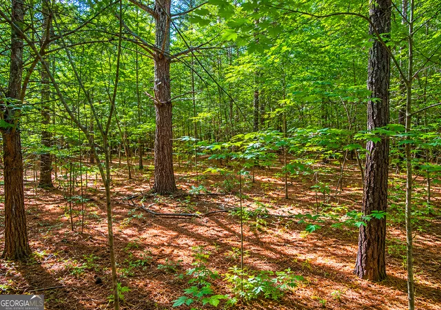 Homes for sale in Lafayette, GA | 125 Acres Bronco Rd, Lafayette, GA 30728 | MLS# 10793966