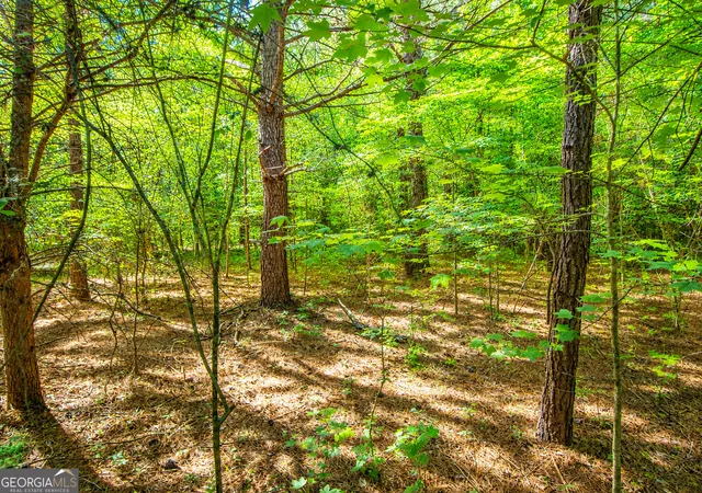 Homes for sale in Lafayette, GA | 125 Acres Bronco Rd, Lafayette, GA 30728 | MLS# 10793966