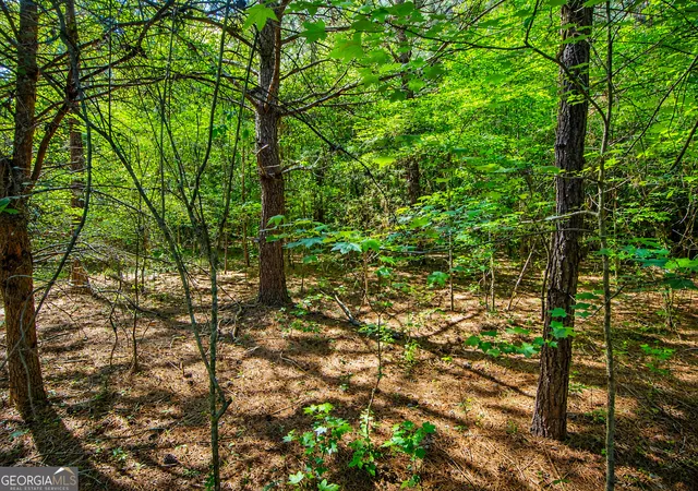 Homes for sale in Lafayette, GA | 125 Acres Bronco Rd, Lafayette, GA 30728 | MLS# 10793966