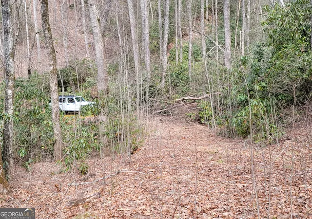 2nd image of 0 Bald Mountain #55,57, Dillard, GA 30537 | MLS# 10726249