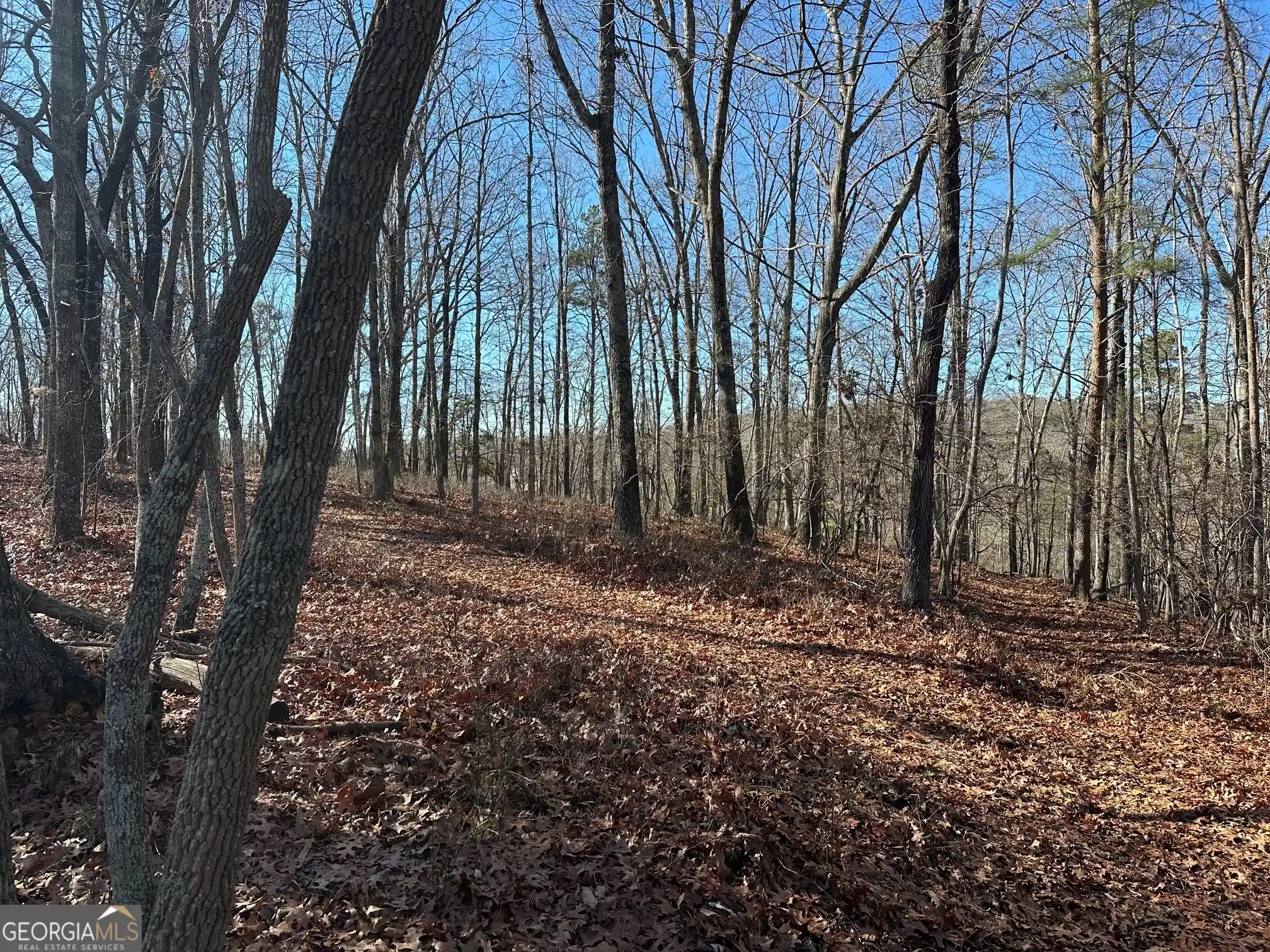 Land for sale at 0 Charlie Lemley Rd, Dawsonville, GA 30534 | MLS# 10873160