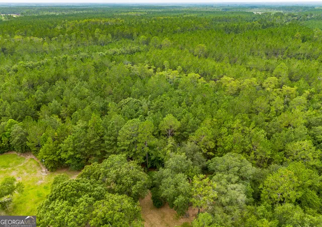 Photo 1 of Land for sale at 0 Morgan Rd, Waycross, GA 31503 | MLS# 10819974 | Listing updated on 2026-08-19
