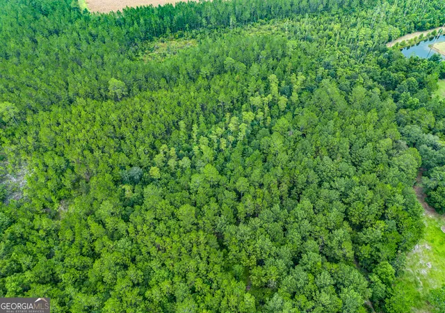 Photo 2 of Land for sale at 0 Morgan Rd, Waycross, GA 31503 | MLS# 10819974 | Listing updated on 2026-08-19