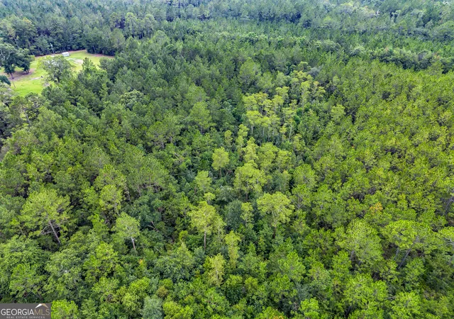 Photo 3 of Land for sale at 0 Morgan Rd, Waycross, GA 31503 | MLS# 10819974 | Listing updated on 2026-08-19