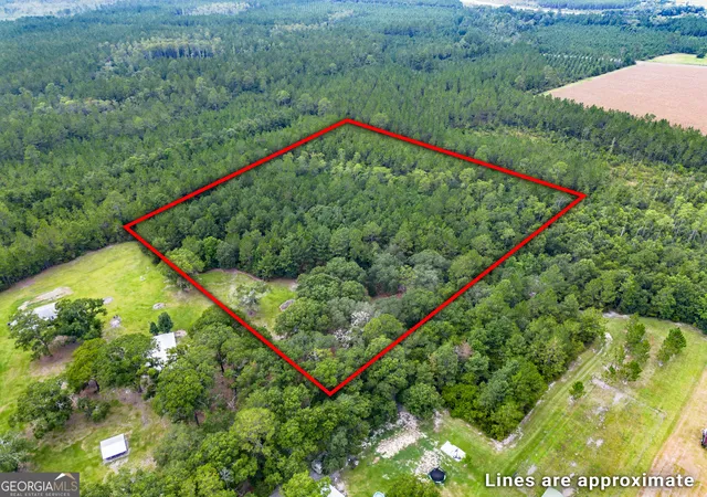 Photo 4 of Land for sale at 0 Morgan Rd, Waycross, GA 31503 | MLS# 10819974 | Listing updated on 2026-08-19