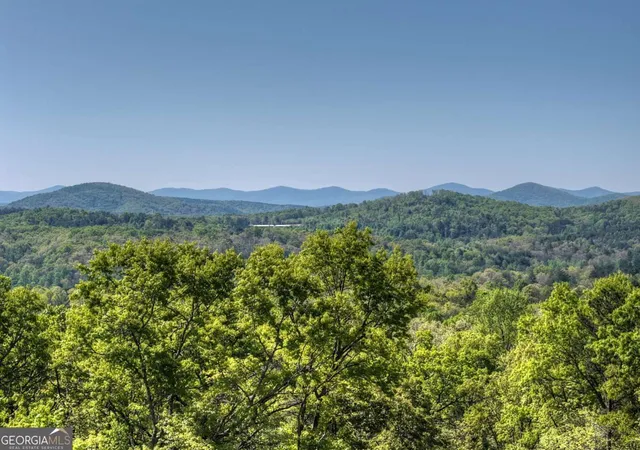 5th image of 769 Voylestown Rd, Morganton, GA 30560 | MLS# 10813964