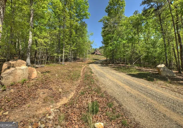 67th image of 769 Voylestown Rd, Morganton, GA 30560 | MLS# 10813964