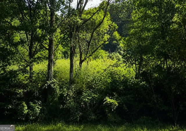 Photo 3 of Sale Pending at Lot 40 Shattuck Industrial Blvd, Lafayette, GA 30728 | MLS# 10809884 | Listing updated on 2026-10-03