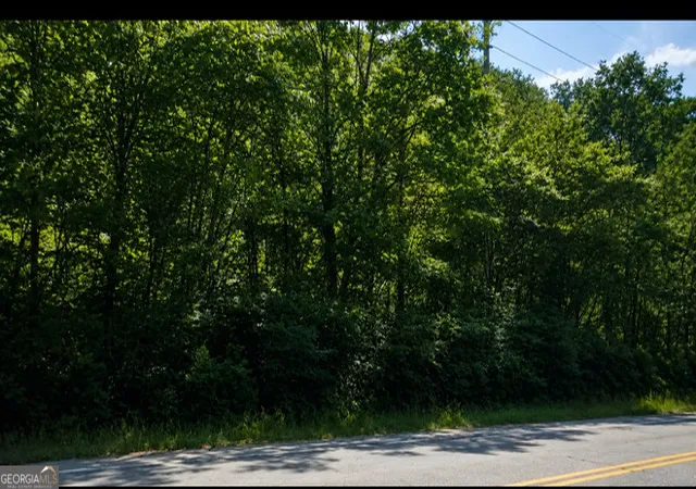 5th image of Lot 40 Shattuck Industrial Blvd, La Fayette, GA 30728 | MLS# 10809884