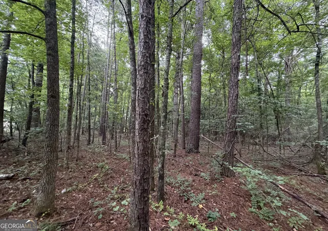 2nd image of 0 Cousins Rd, Greenville, GA 30222 | MLS# 10811418