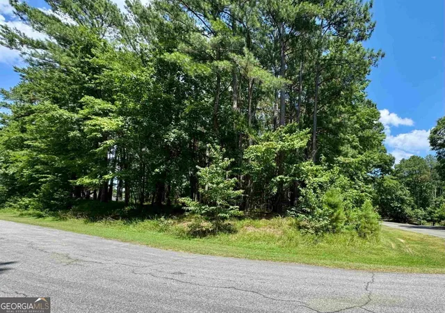3rd image of 2001 Pine Valley Ct, Greensboro, GA 30642 | MLS# 10804420
