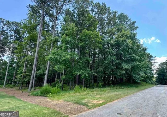 4th image of 2001 Pine Valley Ct, Greensboro, GA 30642 | MLS# 10804420