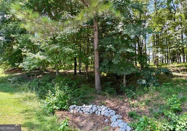 5th image of 2001 Pine Valley Ct, Greensboro, GA 30642 | MLS# 10804420