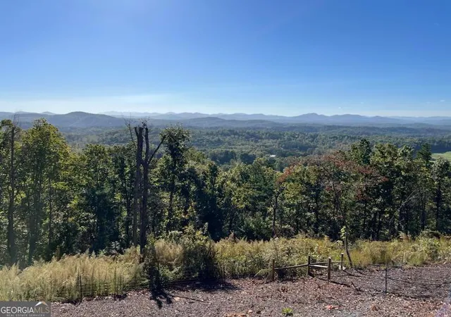 1st image of 0 Piney Rd, Mineral Bluff, GA 30559 | MLS# 10395324
