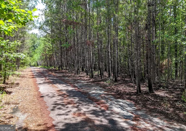 Photo 3 of Land for sale at 47 Lot #47, Rockmart, GA 30153 | MLS# 10784067 | Listing updated on 2026-08-16