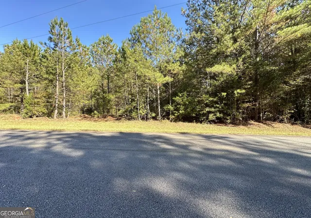 Photo 3 of Land for sale at 0 Crook Rd, Lincolnton, GA 30817 | MLS# 10643680 | Listing updated on 2026-04-14