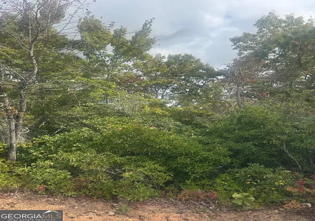 Land for sale at Lot 16 Brown Hawk Dr, Clayton, GA 30525 | MLS# 10731921