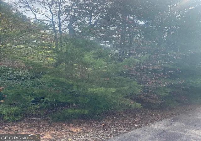 Photo 2 of Land for sale at Lot 16 Brown Hawk Dr, Clayton, GA 30525 | MLS# 10731921 | Listing updated on 2026-10-16