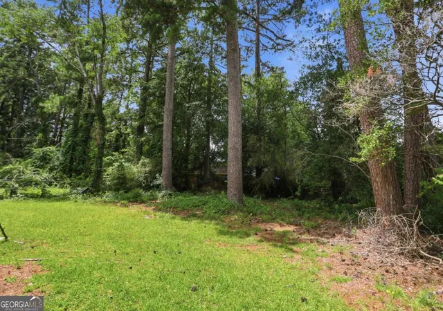 Photo 4 of Single family home for sale at 1089 Canal St, Decatur, GA 30032 | MLS# 10820838 | Listing updated on 2026-10-19