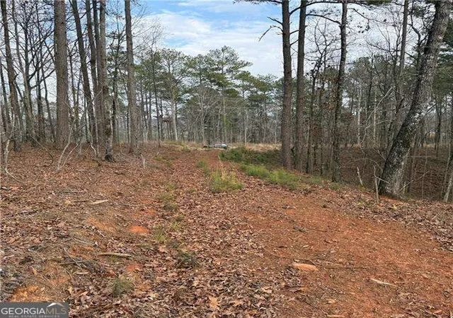 26th image of 316 Pebble Trace St, Ellijay, GA 30540 | MLS# 10709622