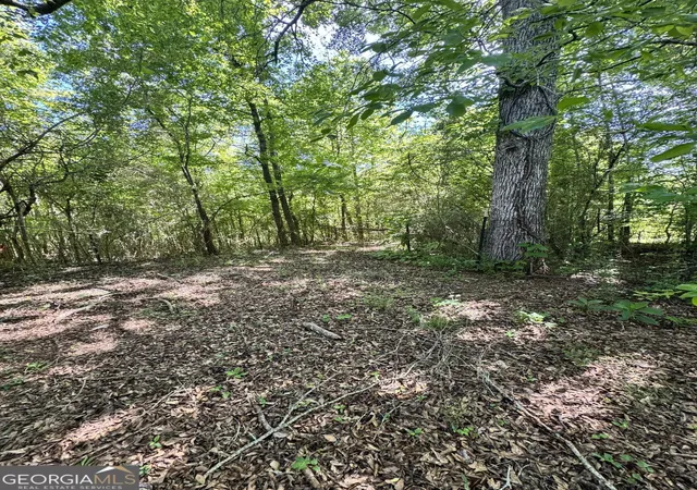 16th image of 477 Knight Rd, Rockmart, GA 30153 | MLS# 10834361
