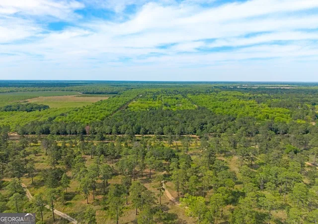 Homes for sale in Albany, GA | 0 Coakley And Slade Ave, Albany, GA 31721 | MLS# 10739665