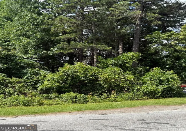 Photo 4 of Land for sale at 0 Metcalf Rd, Forest Park, GA 30297 | MLS# 10780599 | Listing updated on 2026-10-05