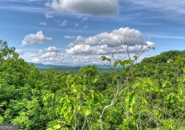Photo 3 of Land for sale at 284 Ac Black Dog Trl, Blue Ridge, GA 30513 | MLS# 10764622 | Listing updated on 2026-08-21