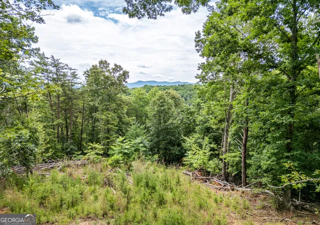 Homes for sale in Brasstown, NC | Lt 1 Stormy Ridge, Brasstown, NC 28902 | MLS# 10797397