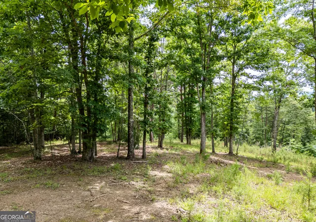 Homes for sale in Brasstown, NC | Lt 1 Stormy Ridge, Brasstown, NC 28902 | MLS# 10797397