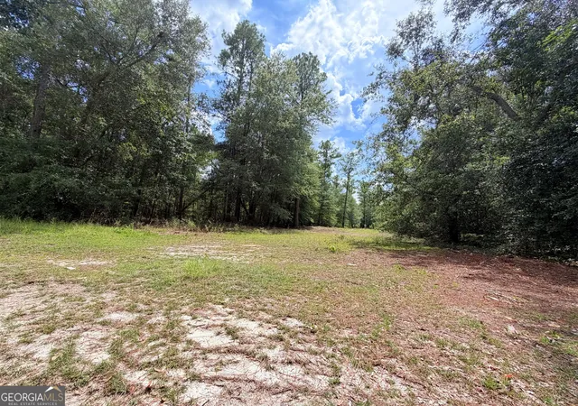 Photo 1 of Land for sale at 0 Lakeview Dr, Alamo, GA 30411 | MLS# 10827826 | Listing updated on 2026-09-08