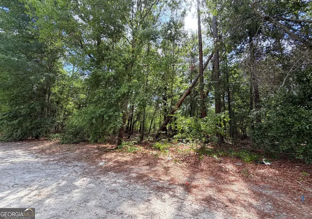 Photo 2 of Land for sale at 0 Lakeview Dr, Alamo, GA 30411 | MLS# 10827826 | Listing updated on 2026-09-08