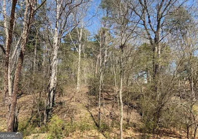 2nd image of 0 Jack Pittman Rd, Dacula, GA 30019 | MLS# 10796685