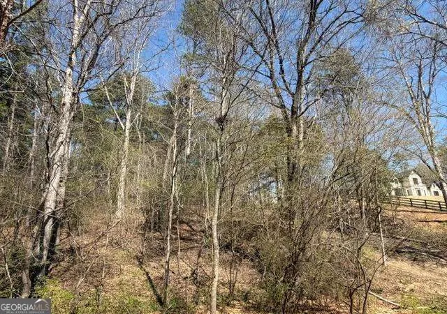 5th image of 0 Jack Pittman Rd, Dacula, GA 30019 | MLS# 10796685