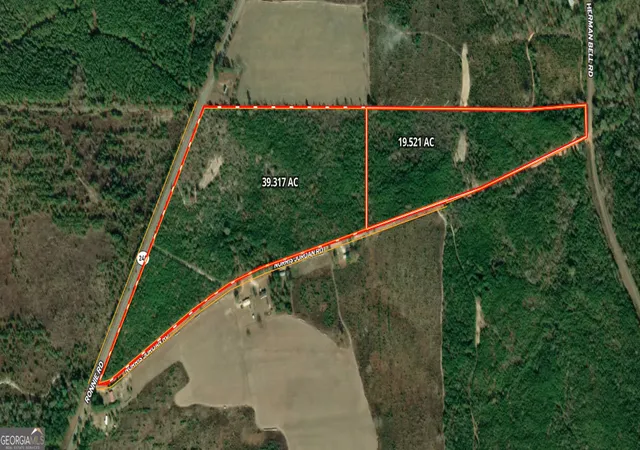 Land for sale at 19.521 Ac Herman Bell Rd, Mauk, GA 31058 | MLS# 10831653