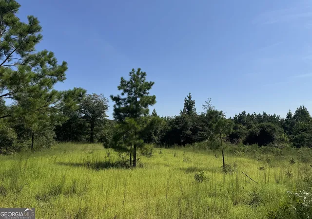 Photo 2 of Land for sale at 19521 Ac Herman Bell Rd, Mauk, GA 31058 | MLS# 10831653 | Listing updated on 2026-09-07