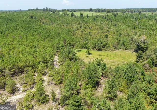 Photo 3 of Land for sale at 19521 Ac Herman Bell Rd, Mauk, GA 31058 | MLS# 10831653 | Listing updated on 2026-09-07
