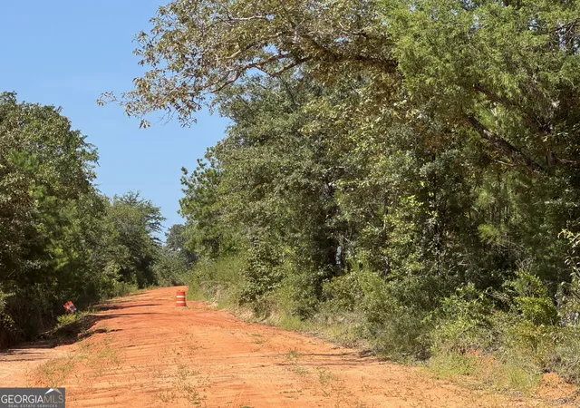 Photo 3 of Land for sale at 19521 Ac Herman Bell Rd, Mauk, GA 31058 | MLS# 10831653 | Listing updated on 2026-09-07