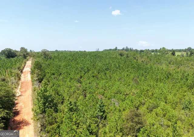 Photo 4 of Land for sale at 19521 Ac Herman Bell Rd, Mauk, GA 31058 | MLS# 10831653 | Listing updated on 2026-09-07