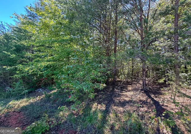 Photo 3 of Sale Pending at Tract 2 Sunshine Ridge Dr, Toccoa, GA 30577 | MLS# 10835280 | Listing updated on 2026-09-08