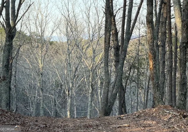 3rd image of 260 Arnold Rd, Fairmount, GA 30139 | MLS# 10830697