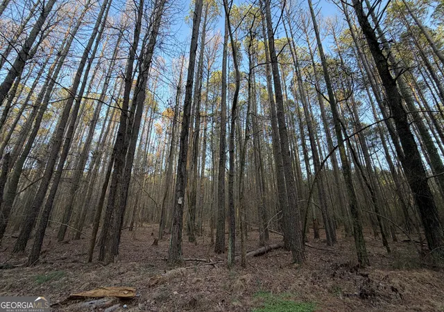 54th image of 260 Arnold Rd, Fairmount, GA 30139 | MLS# 10830697