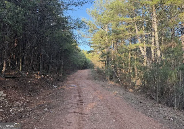 5th image of 260 Arnold Rd, Fairmount, GA 30139 | MLS# 10830697