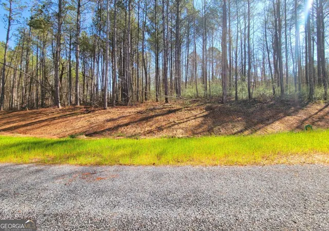 1st image of 68 Mountaingate Wy, Ellijay, GA 30536 | MLS# 10738860